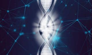 Aanvragen DNA Activiteiten Niveau: DNA cel