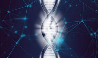 Aanvragen DNA Activiteiten Niveau