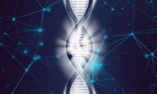 Aanvragen DNA Activiteiten Niveau: DNA cel